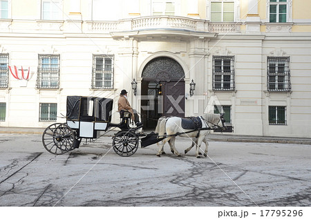 ウィーン市内を走る白馬の観光用馬車 17795296