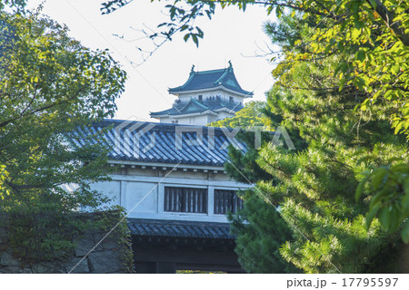 岡口門と和歌山城 岡口門と和歌山城 17795597