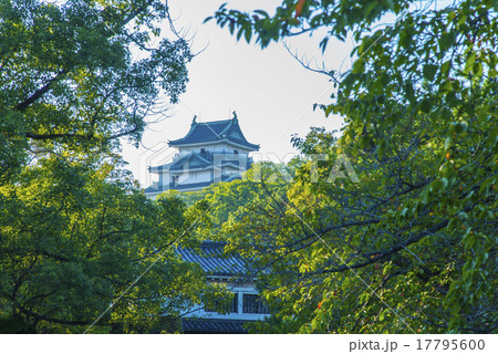 岡口門と和歌山城 岡口門と和歌山城 17795600