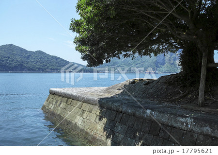 三角西港 17795621