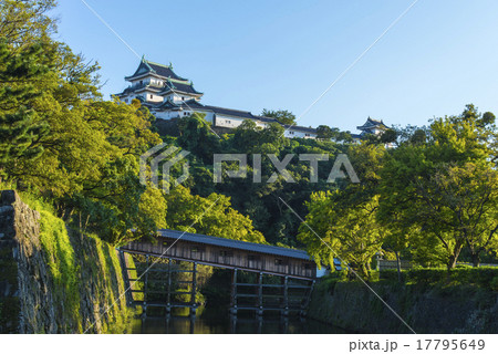 和歌山城と御橋廊下 17795649