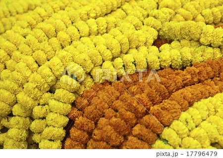 Flower garlands in a gift to gods. India... Flower garlands in a gift to gods. India... 17796479