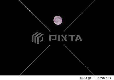 十六夜月 十六夜月 17796713