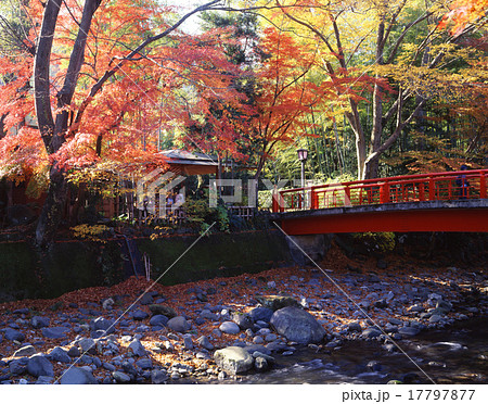 秋の修善寺温泉 秋の修善寺温泉 17797877