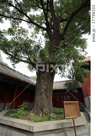 世界遺産 北京 天壇公園 神楽署 世界遺産 北京 天壇公園 神楽署 17798332