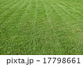Natural green trimmed grass field 17798661