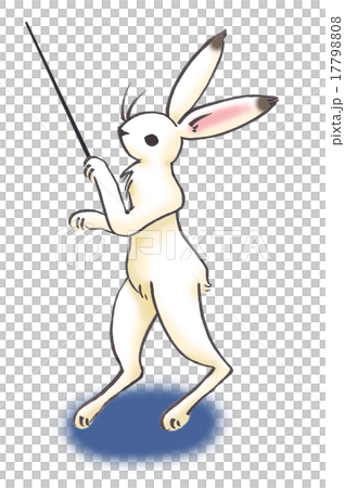 Information rabbit Information rabbit 17798808
