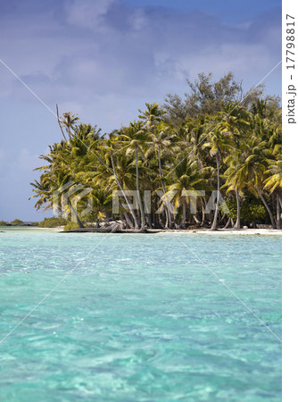 tropical island with palm trees in the sea 17798817