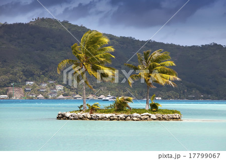 The island with palm trees in the ocean 17799067