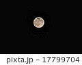 浪漫飛行 17799704