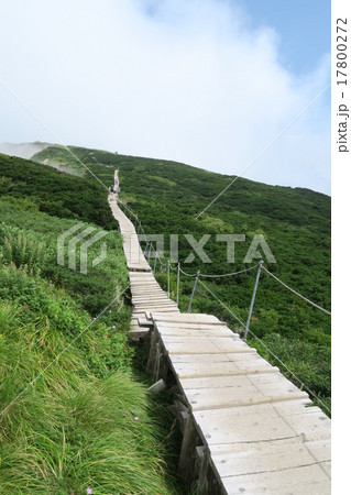 大山の登山道 17800272