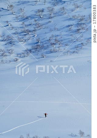 ニセコ雪景色　スキーヤー 17800383
