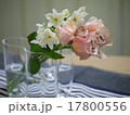 可憐な花 17800556