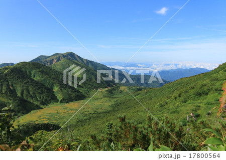 白山展望歩道④ 17800564