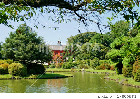 小石川植物園 17800981