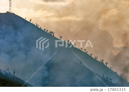 Palawan Philippines Palawan Philippines 17801315