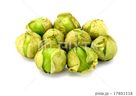 トマティージョ 17801518