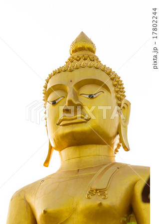 Big gold buddha 17802244