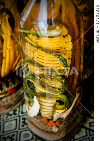 Lao whisky with the pickled snake in a bottle Lao whisky with the pickled snake in a bottle 17803335