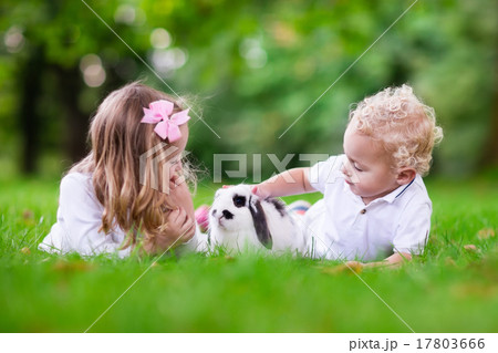 Kids playing with real rabbit 17803666