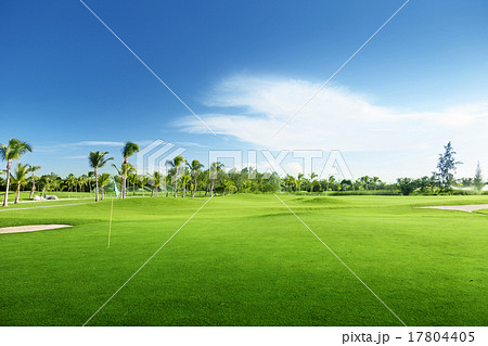 golf course golf course 17804405