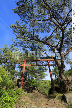 赤池弁財天 17804637