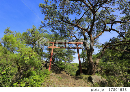 赤池弁財天 赤池弁財天 17804638