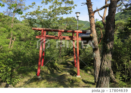 赤池弁財天 赤池弁財天 17804639