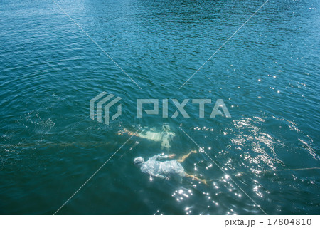潜る志摩の海女さん 潜る志摩の海女さん 17804810