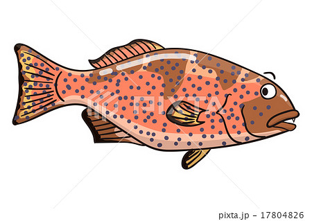 コクハンアラ 17804826