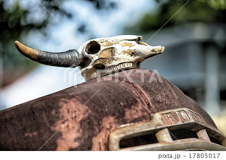 details of old rusty auto 17805017