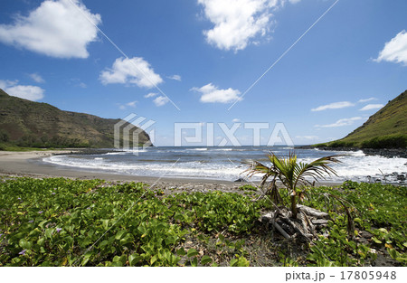 ハラワ湾、モロカイ島、ハワイ-3 ハラワ湾、モロカイ島、ハワイ-3 17805948