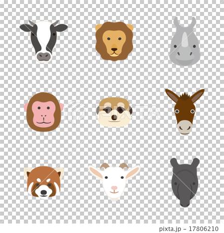 動物の顔　セット 17806210