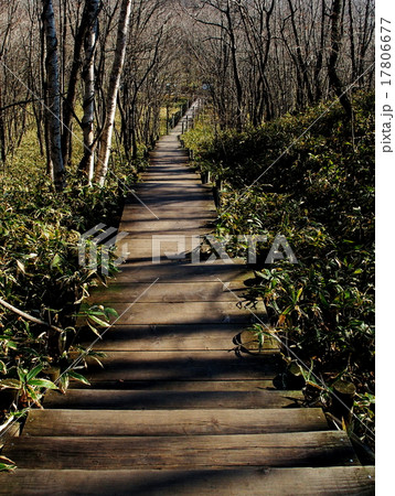 釧路市湿原展望台 釧路市湿原展望台 17806677