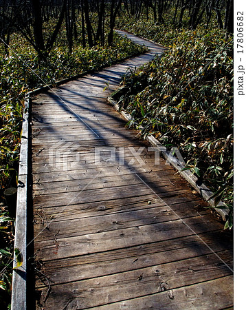 釧路市湿原展望台 釧路市湿原展望台 17806682