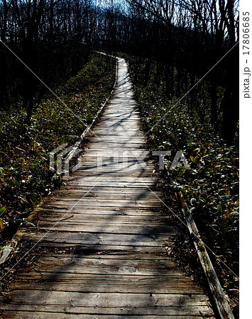 釧路市湿原展望台 釧路市湿原展望台 17806685