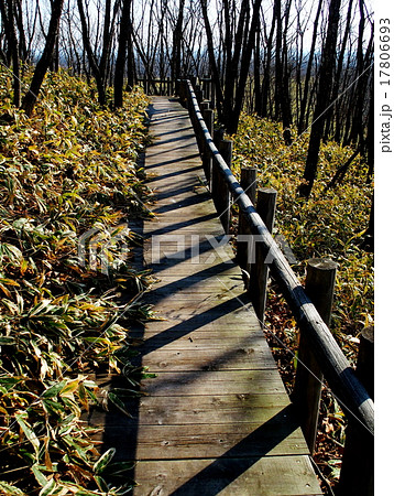 釧路市湿原展望台 17806693