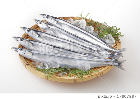 生さんま 17807887