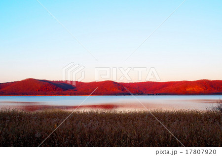 達古武沼 17807920