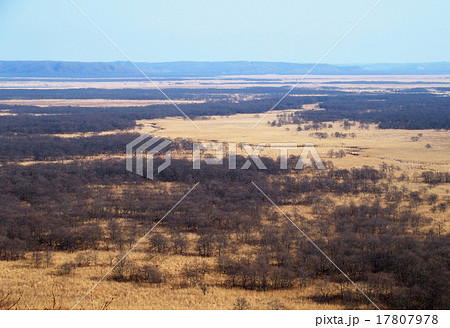 サテライト展望台 サテライト展望台 17807978
