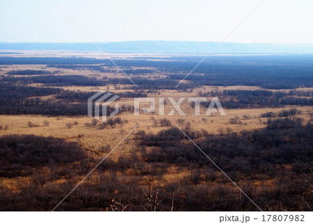 サテライト展望台 サテライト展望台 17807982