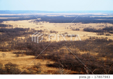 サテライト展望台 17807983