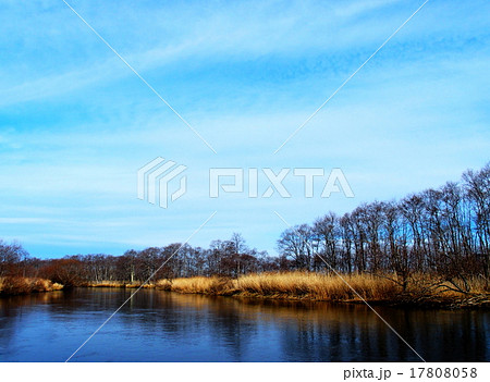 釧路湿原 17808058