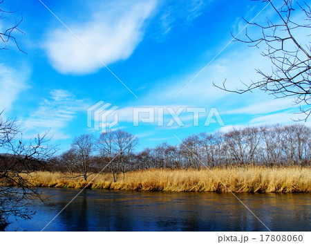 釧路湿原 17808060