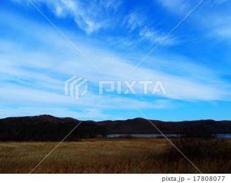 達古武湖 17808077