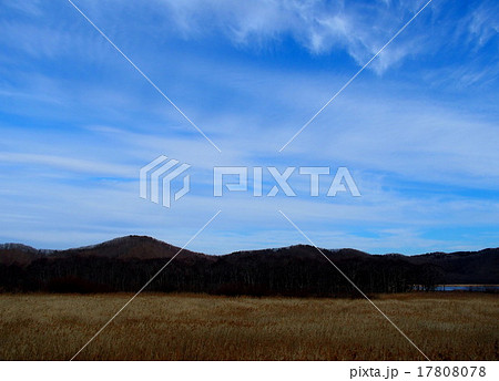 達古武湖 17808078