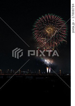 なにわ淀川花火大会 17808784
