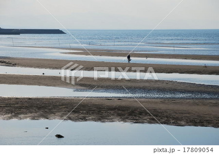 真玉海岸 真玉海岸 17809054