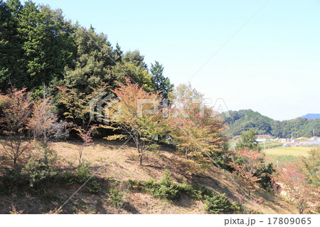 秋の田園 秋の田園 17809065