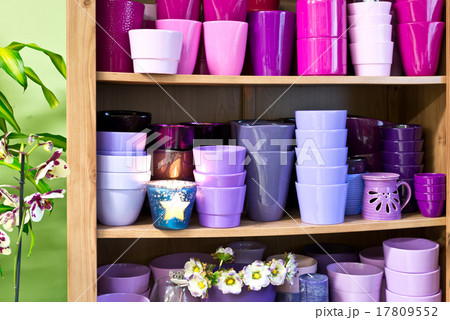 flowerpots in a shelf in a market flowerpots in a shelf in a market 17809552